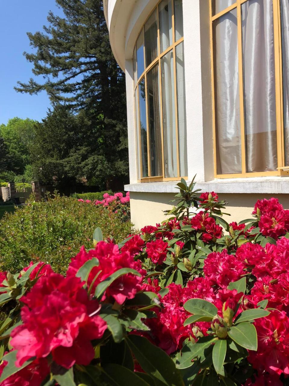 La Villa Rochette Forges-les-Bains Eksteriør bilde