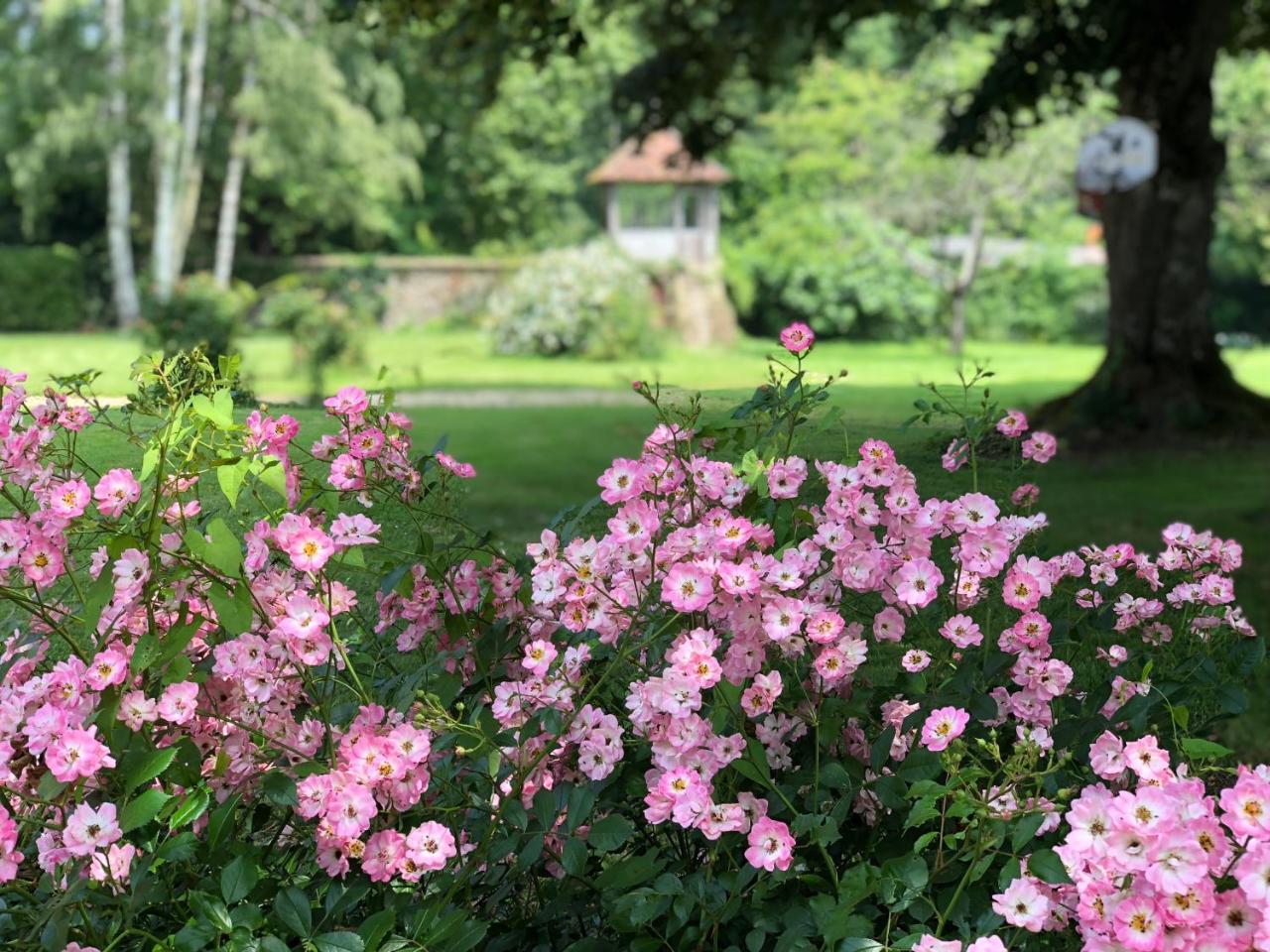 La Villa Rochette Forges-les-Bains Eksteriør bilde